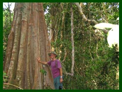 The remarkable Dong Na Tat Forest in Savannakhet