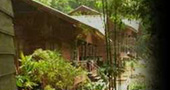 Tad Fane Resort
