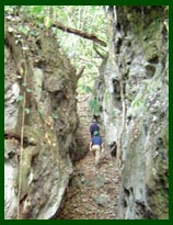 Rock outcroppings