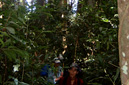 Trekking in Vieng Phoukha