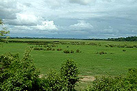 Kiet Ngong wetlands